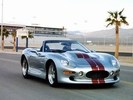 shelbyseries1.gif